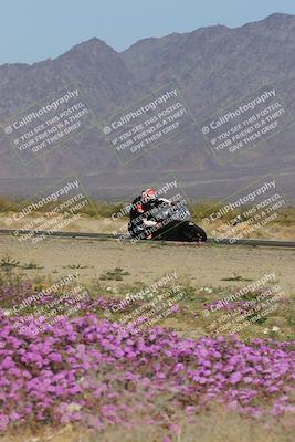 media/Feb-04-2023-SoCal Trackdays (Sat) [[8a776bf2c3]]/Turn 15 Inside Blooming (1050am)/